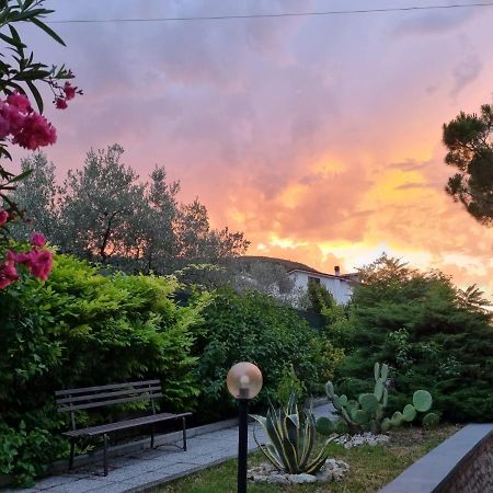 San Casciano Panzió Narni Kültér fotó